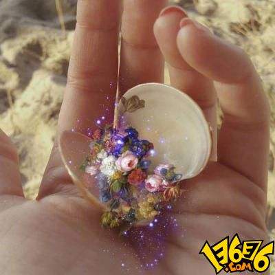 盈彩网下载手机版